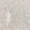 Apollo Tile Pearl Hexagon Mosaic 18.69 sq.ft 11.6 in. x11.6 in. Shell Tile, 20PK APLSMA99007EC49 - alternate 1